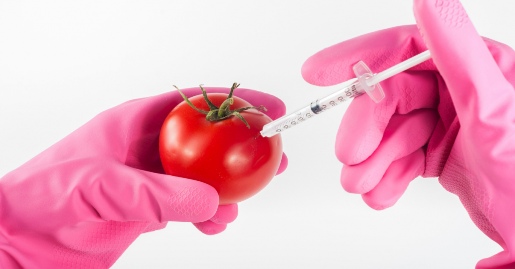 gmo
