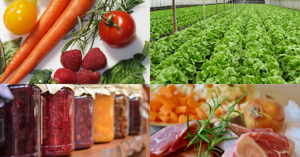why organic food
