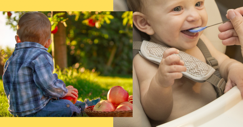 8-best-organic-baby-food-brands-in-india-organic