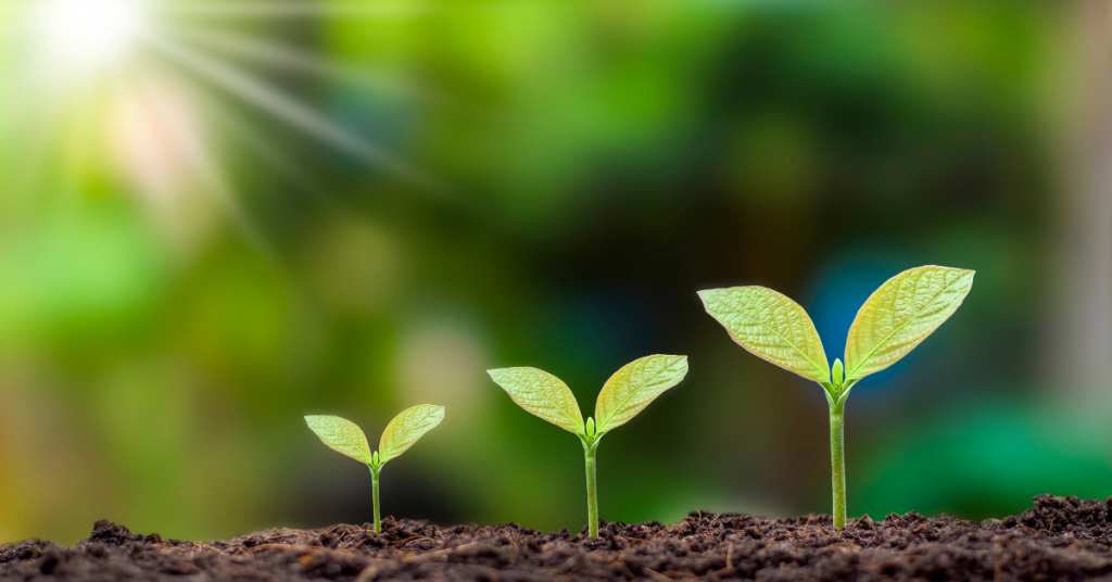 India's growth on organic production