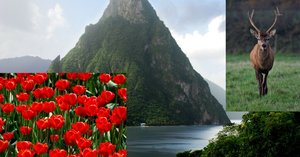 organic tourism